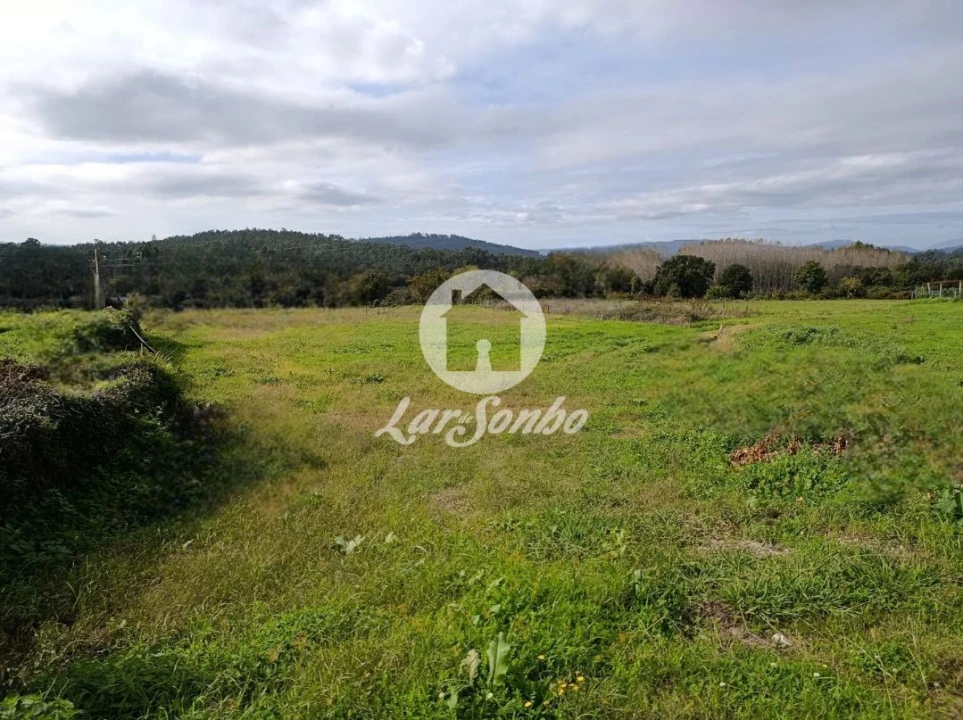Terreno para Venda em Alheira e Igreja Nova Foto 7