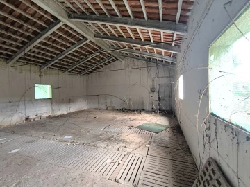 Quinta T0 para Venda em Asseiceira