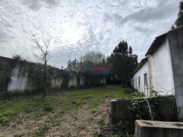 Quinta T0 para Venda em Asseiceira