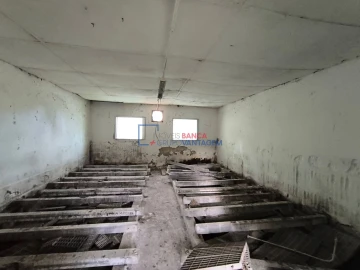 Quinta T0 para Venda em Asseiceira