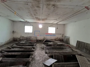 Quinta T0 para Venda em Asseiceira