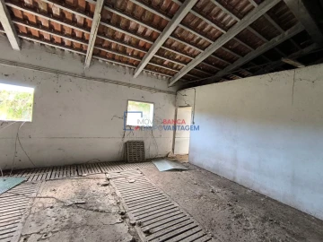 Quinta T0 para Venda em Asseiceira