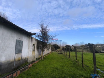 Quinta T0 para Venda em Asseiceira