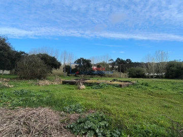 Quinta T0 para Venda em Asseiceira
