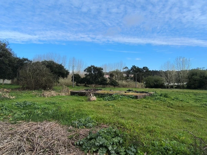 Quinta T0 para Venda em Asseiceira Foto 21