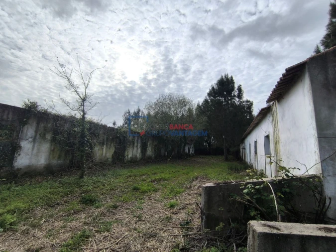 Quinta T0 para Venda em Asseiceira Foto 4