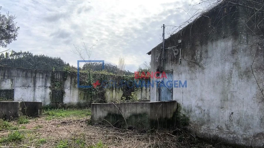 Quinta T0 para Venda em Asseiceira