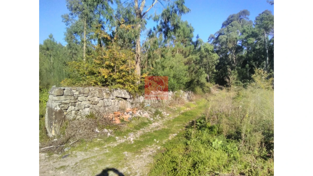 Quinta T2 para Venda em Perelhal Foto 42