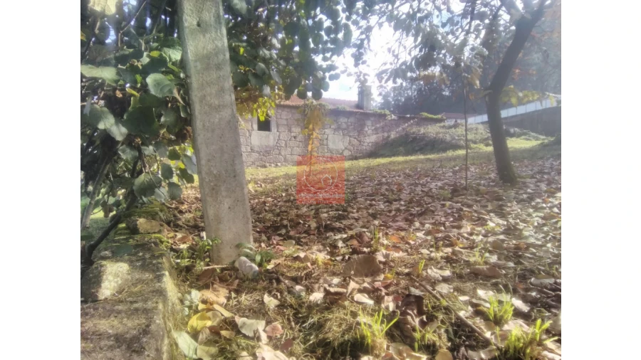 Quinta T2 para Venda em Perelhal Foto 10