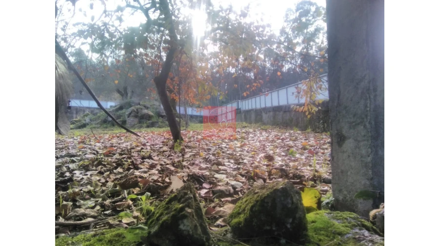 Quinta T2 para Venda em Perelhal Foto 9