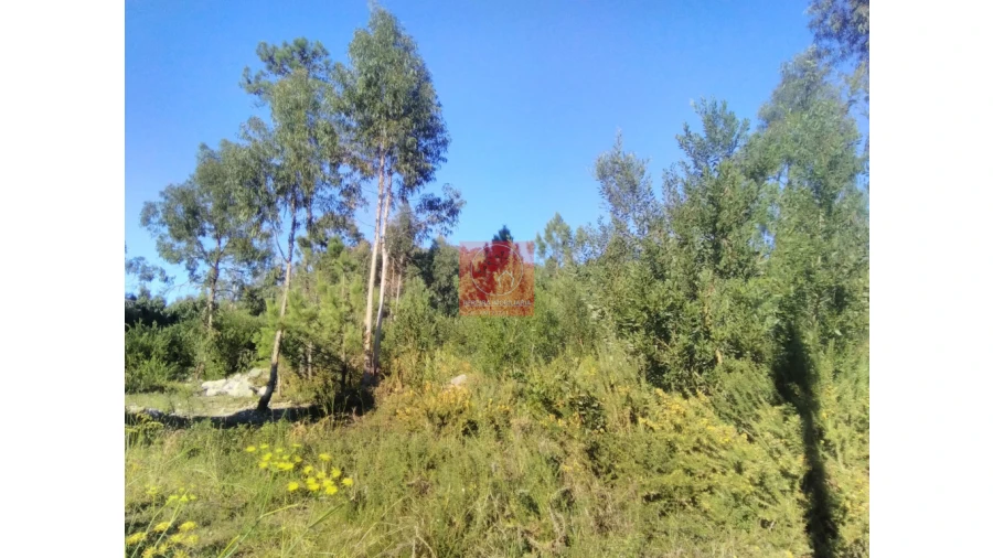 Quinta T2 para Venda em Perelhal Foto 41