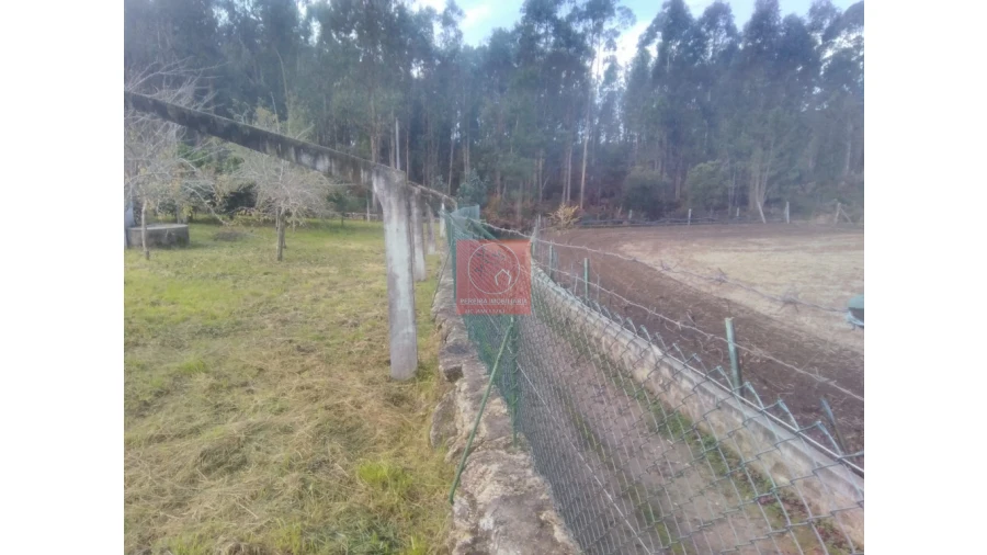 Quinta T2 para Venda em Perelhal Foto 22