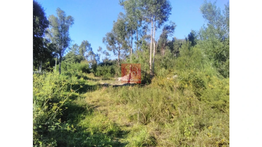 Quinta T2 para Venda em Perelhal Foto 40