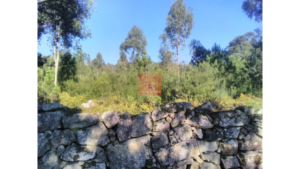 Quinta T2 para Venda em Perelhal Foto 36