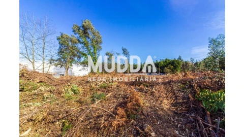 Terreno para Venda em Paços de Brandão