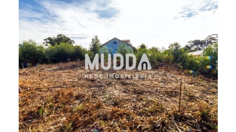 Terreno para Venda em Paços de Brandão