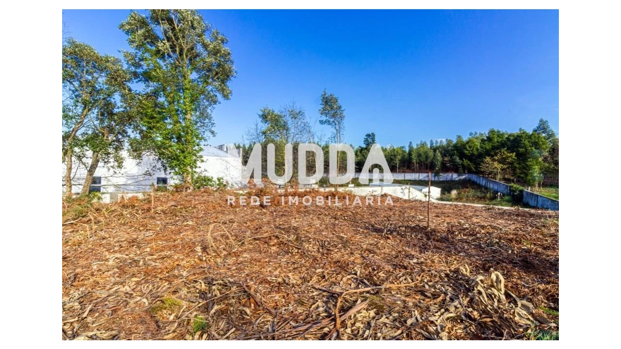 Terreno para Venda em Paços de Brandão Foto 5