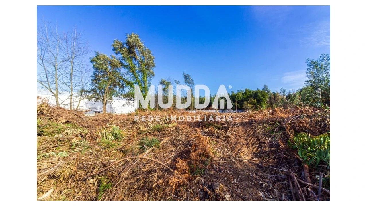 Terreno para Venda em Paços de Brandão Foto 6