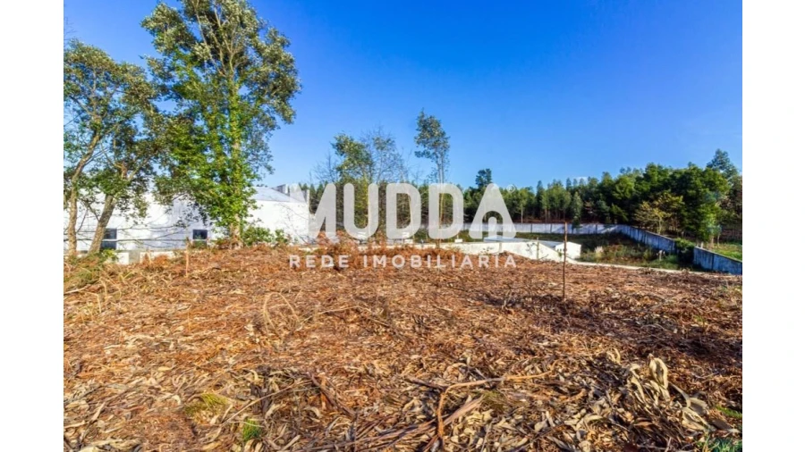 Terreno para Venda em Paços de Brandão Foto 5