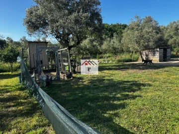 Moradia T3 para Venda em Cantanhede e Pocariça