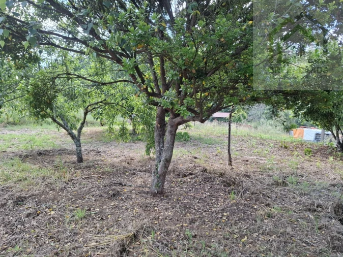 Moradia T4 para Venda em Espariz e Sinde Foto 11