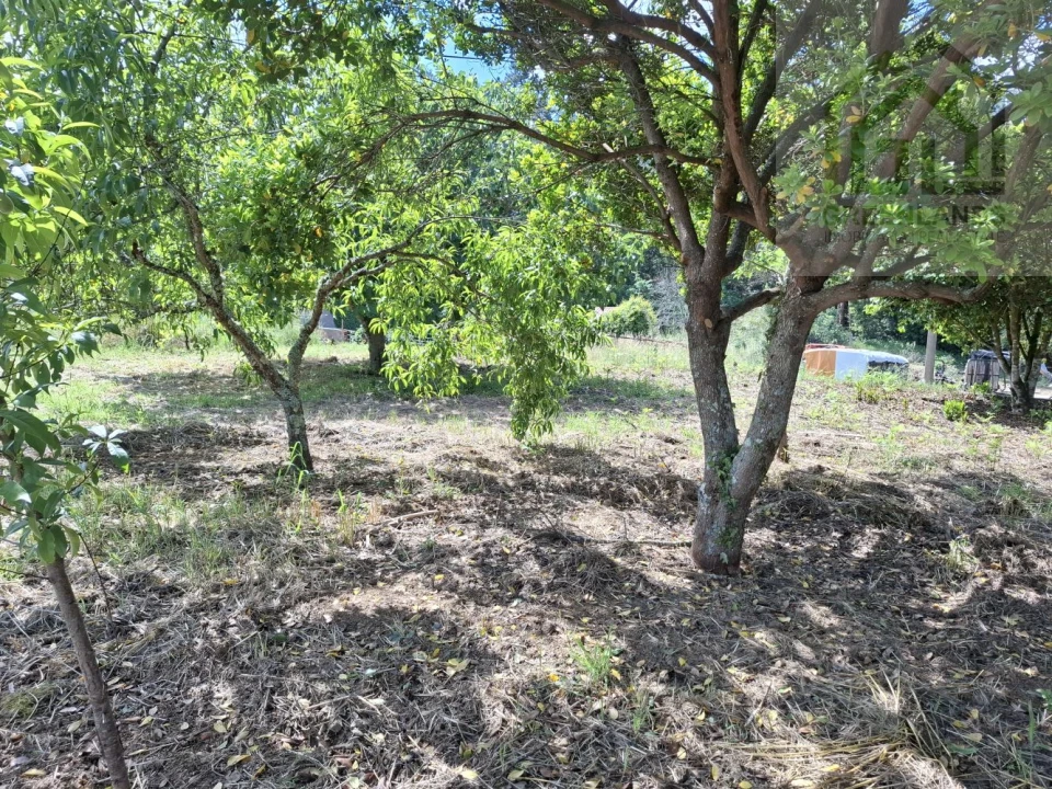 Moradia T4 para Venda em Espariz e Sinde Foto 7