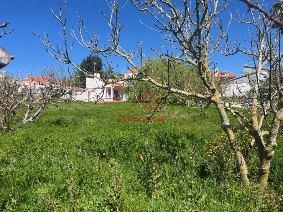 Armazém para Venda em Turcifal Foto 25