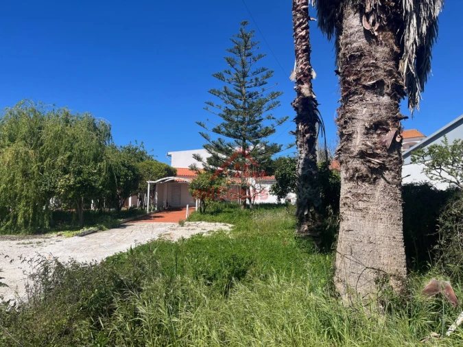 Armazém para Venda em Turcifal Foto 4