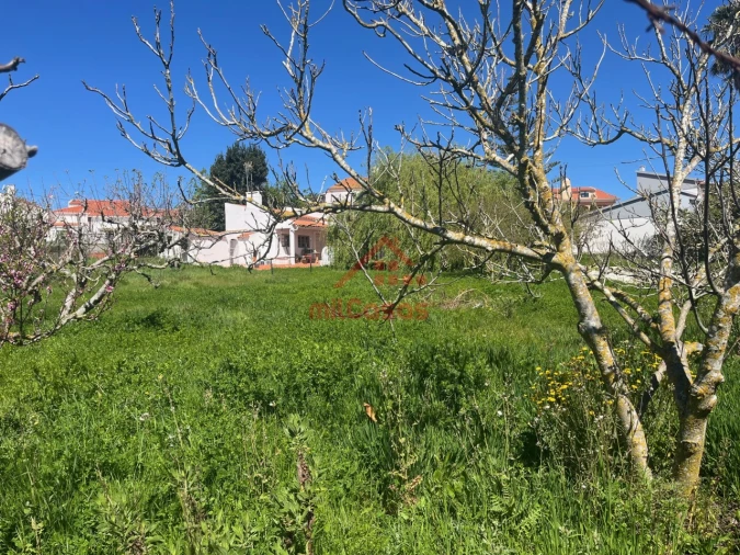 Armazém para Venda em Turcifal Foto 12
