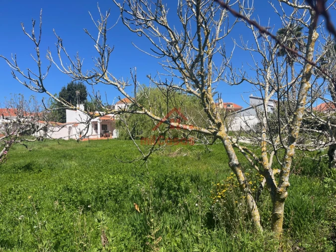 Armazém para Venda em Turcifal Foto 13