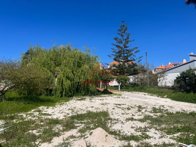 Armazém para Venda em Turcifal Foto 3