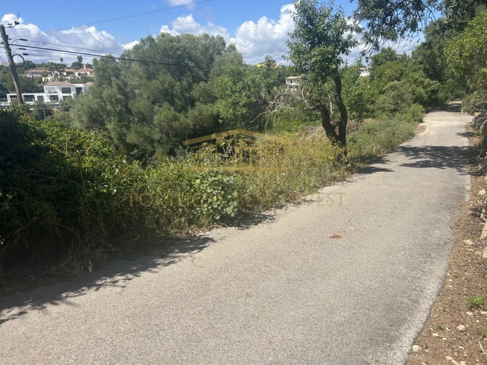 Terreno para Venda em Almancil Foto 2