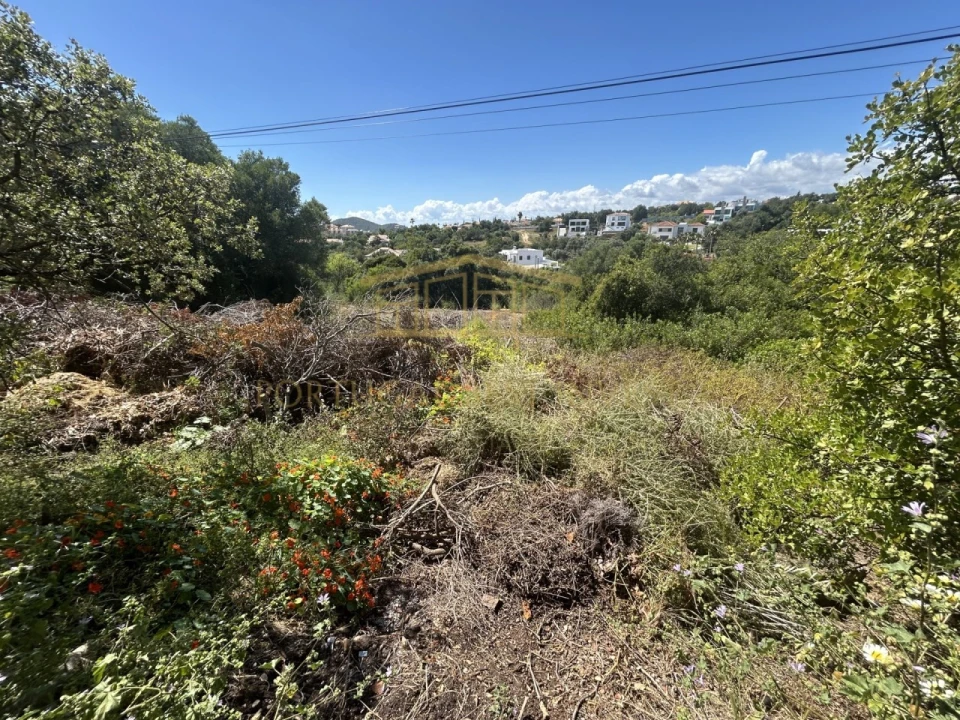 Terreno para Venda em Almancil Foto 5