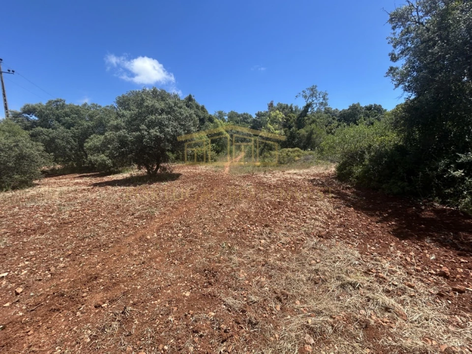 Terreno para Venda em Almancil Foto 3