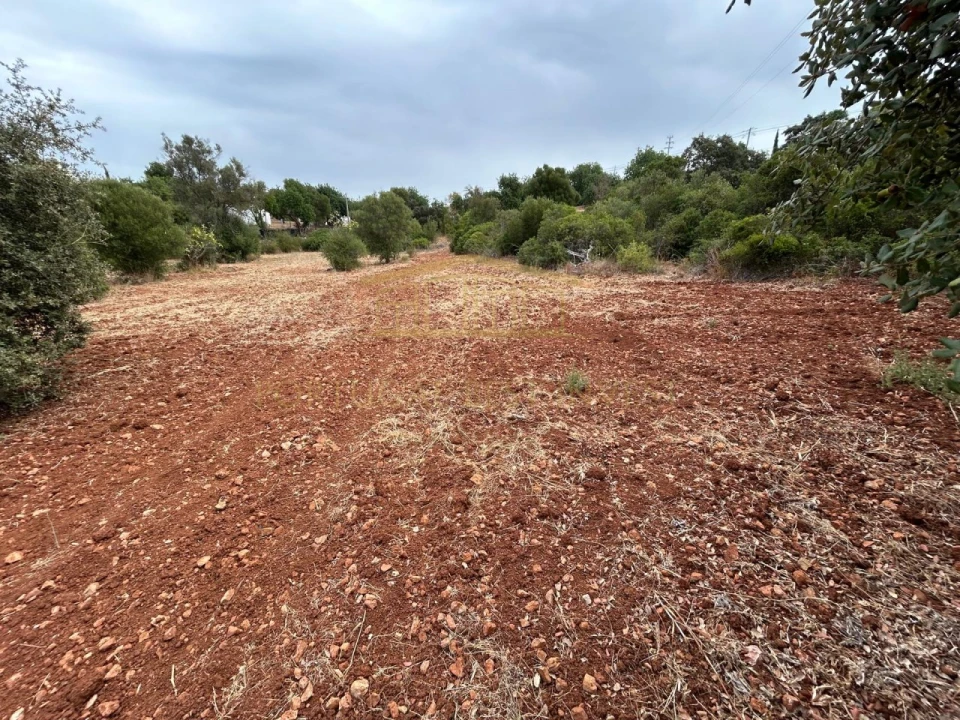 Terreno para Venda em Loule (São Clemente) Foto 18