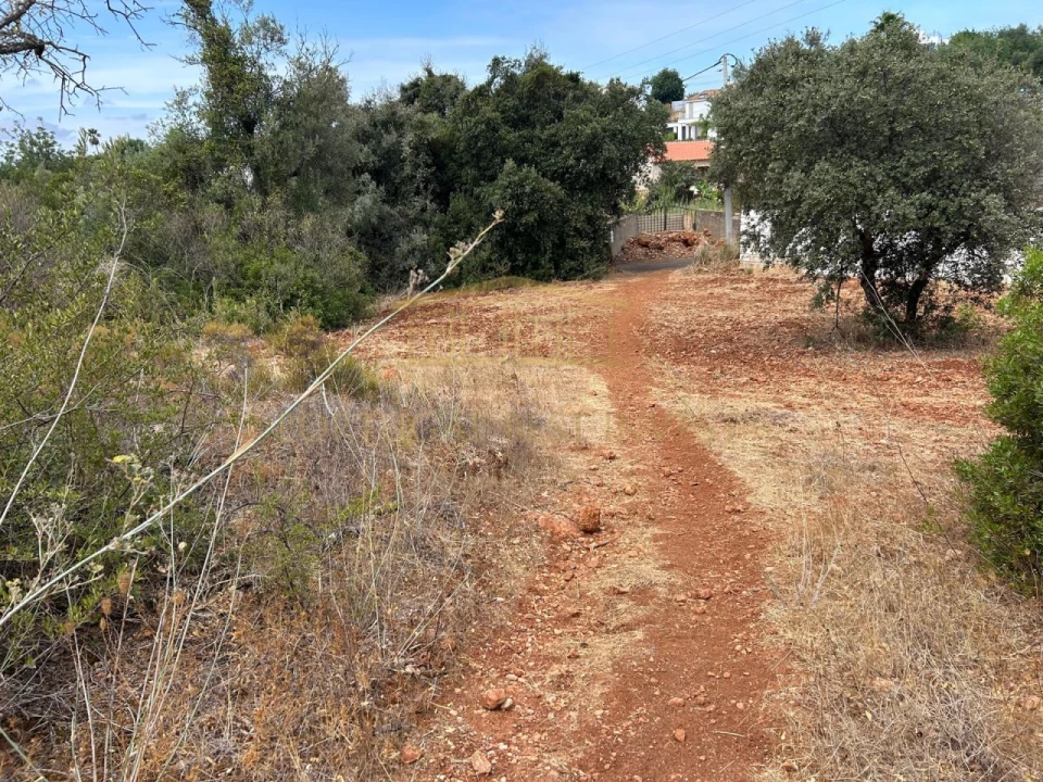 Terreno para Venda em Loule (São Clemente) Foto 19