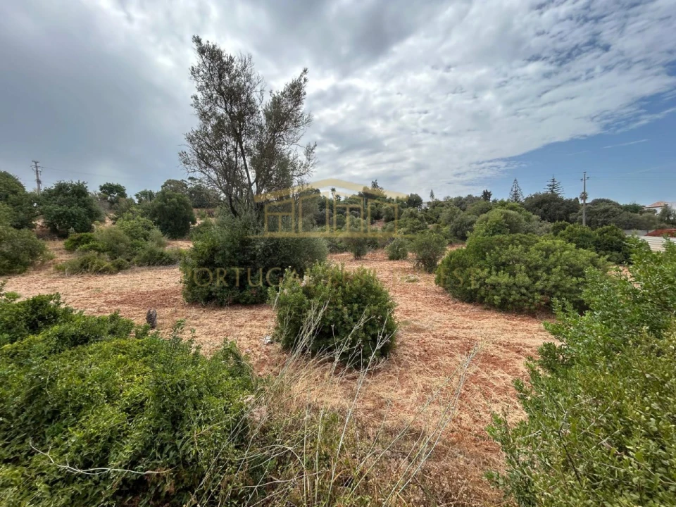 Terreno para Venda em Loule (São Clemente) Foto 21