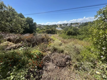 Terreno para Venda em Almancil