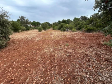 Terreno para Venda em Loule (São Clemente)
