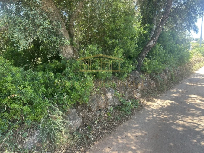 Terreno para Venda em Almancil Foto 4
