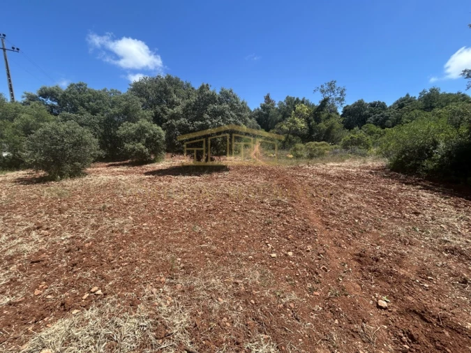 Terreno para Venda em Almancil Foto 7