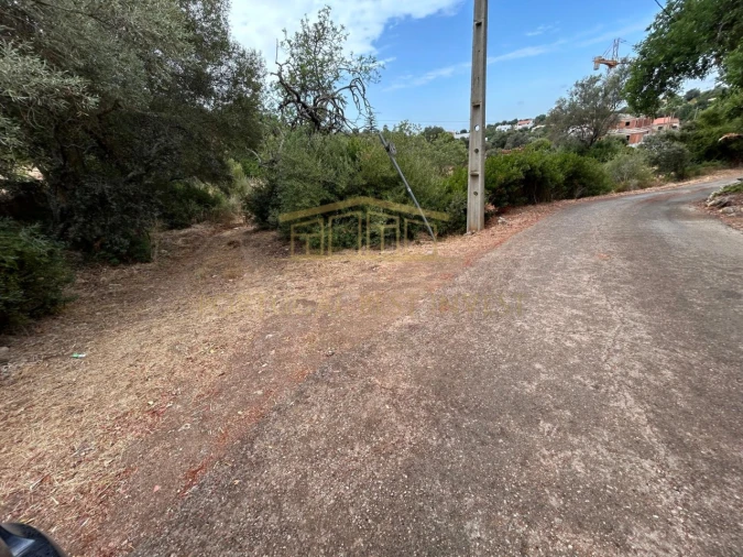 Terreno para Venda em Loule (São Clemente) Foto 17