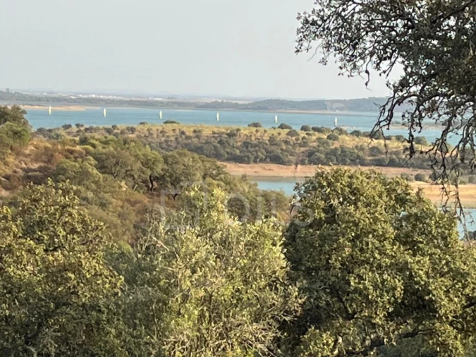 Terreno para Venda em Corval Foto 8