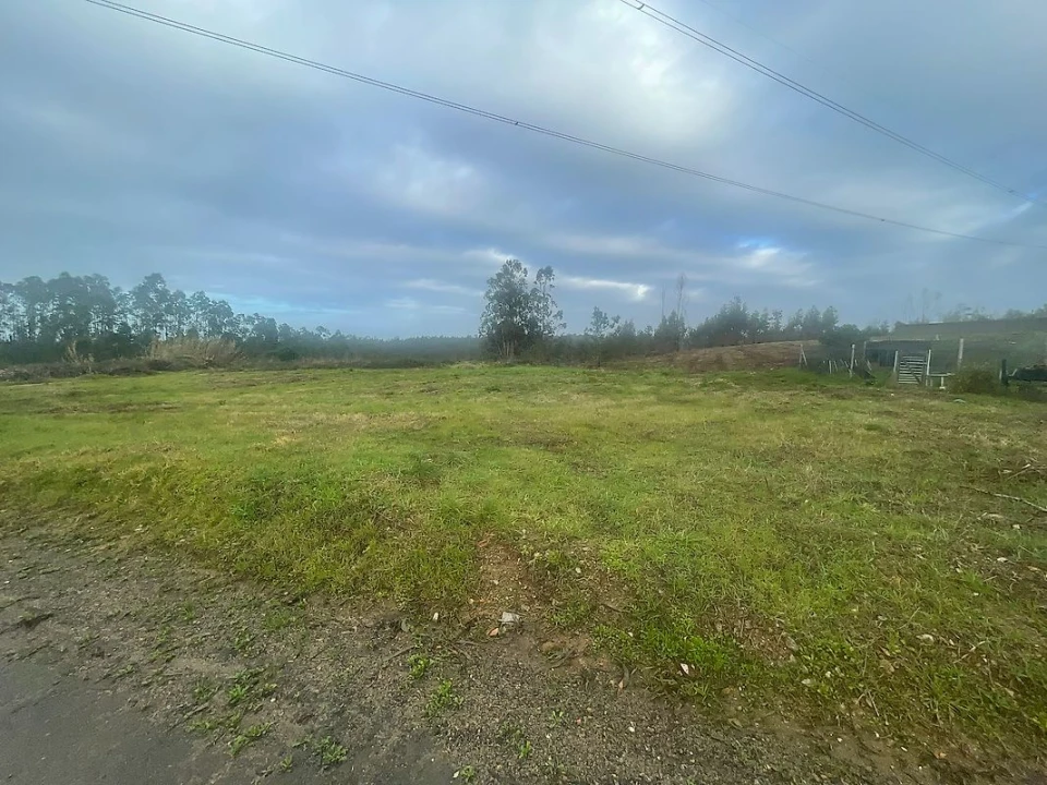 Terreno para Venda em Pinheiro da Bemposta, Travanca e Palmaz Foto 1