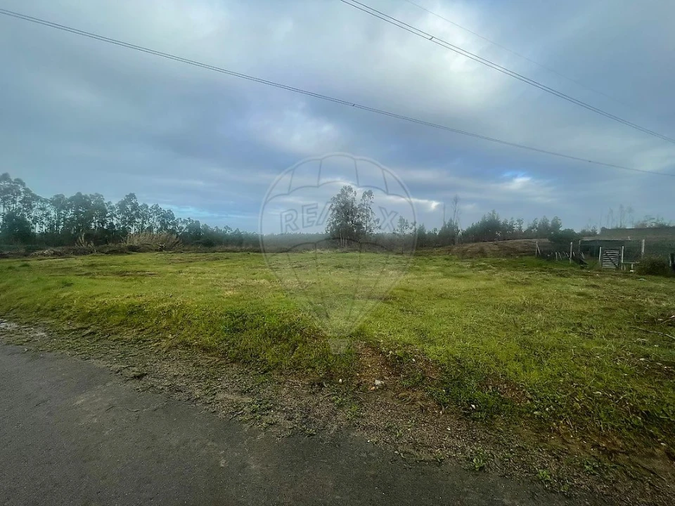Terreno para Venda em Pinheiro da Bemposta, Travanca e Palmaz Foto 4
