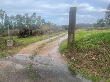 Terreno para Venda em Pinheiro da Bemposta, Travanca e Palmaz