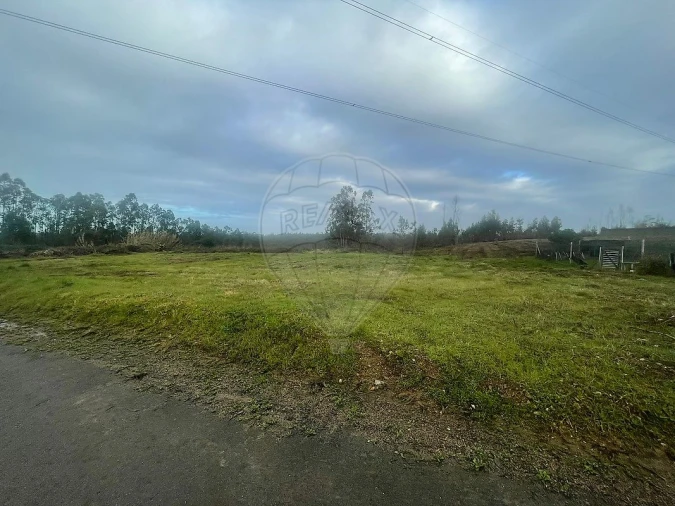 Terreno para Venda em Pinheiro da Bemposta, Travanca e Palmaz Foto 4