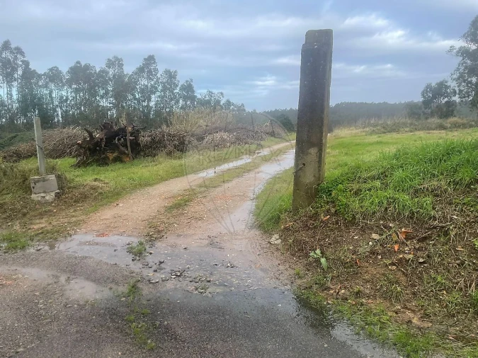 Terreno para Venda em Pinheiro da Bemposta, Travanca e Palmaz Foto 2