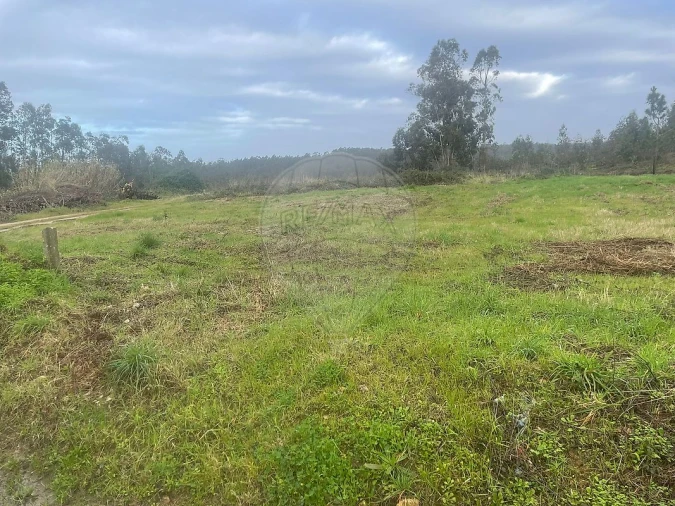 Terreno para Venda em Pinheiro da Bemposta, Travanca e Palmaz Foto 3