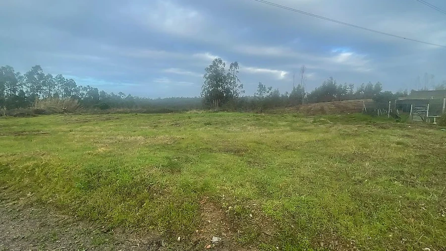 Terreno para Venda em Pinheiro da Bemposta, Travanca e Palmaz